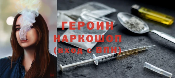 молекула духа Богданович