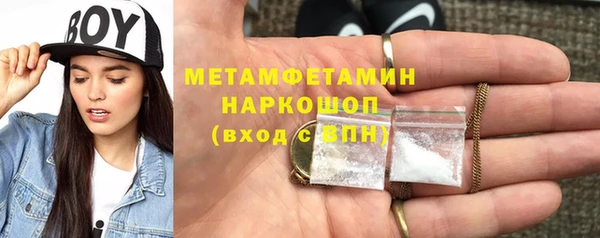 молекула духа Богданович