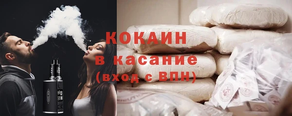 крисы Богородицк