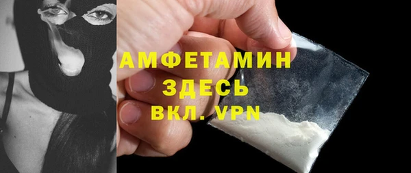 молекула духа Богданович