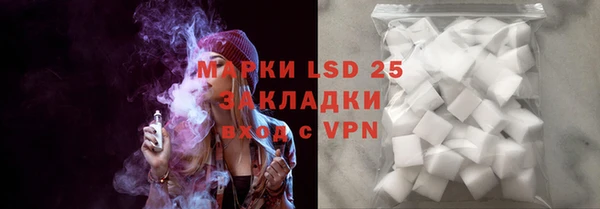 молекула духа Богданович