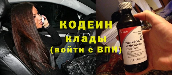 крисы Богородицк