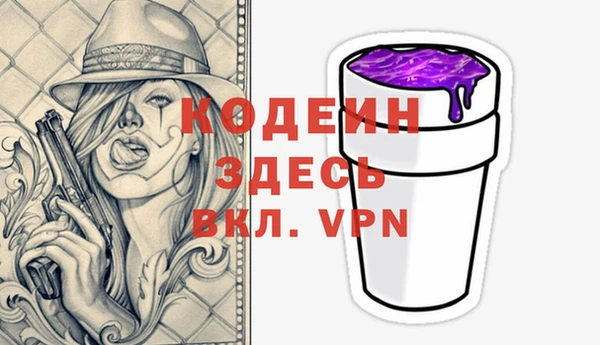 крисы Богородицк