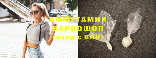 молекула духа Богданович