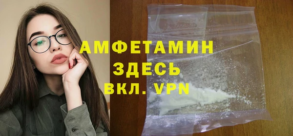 молекула духа Богданович