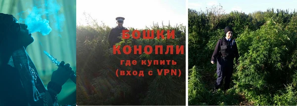 крисы Богородицк